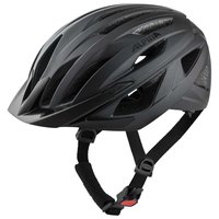 Alpina Delft MIPS Road Helmet
