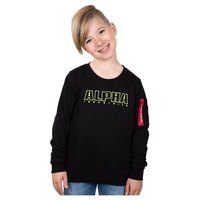 alpha-industries-sweat-shirt-embroidery