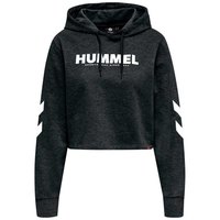 hummel-legacy-cropped-hoodie