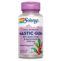 solaray-mastic-gum-500mgr-45-unites