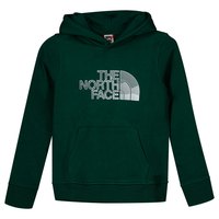 the-north-face-biner-graphic-capuchon