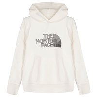 the-north-face-후드티-biner-graphic
