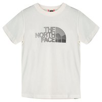 the-north-face-camiseta-de-manga-curta-biner-graphic-1