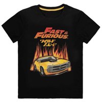 difuzed-fast-and-furious-hot-flames