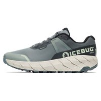 Icebug Arcus RB9X Goretex Trail Running Shoes