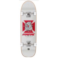 hydroponic-pool-8.75-skateboard