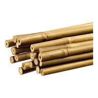 grouw-tuteur-de-bambou-1.1x180-cm
