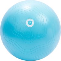 Pure2improve Fitball