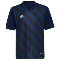 Adidas badminton Entrada 22 GFX Short Sleeve T-Shirt