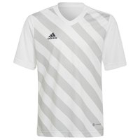 Adidas badminton Entrada 22 GFX Korte Mouwen T-Shirt