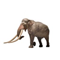 eofauna-straight-tusked-elephant-1:35-figure