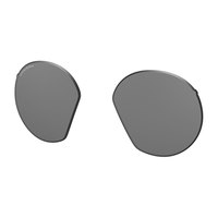 Oakley HSTN Prizm Black M Replacement Lenses