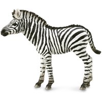 Collecta Zebra Foal Figure