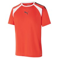 Puma Team Liga Kurzärmeliges T-shirt