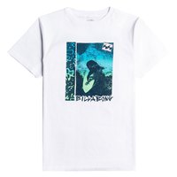 Billabong Kortärmad T-shirt Occy Retro Boy