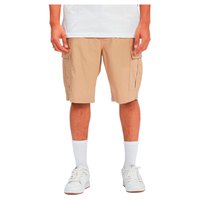 dc-shoes-ware-house-2-shorts