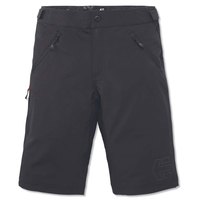 etnies-big-ride-shorts