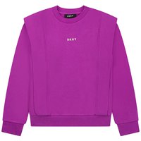DKNY D35S20 Sweatshirt