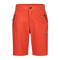 icepeak-shorts-konz