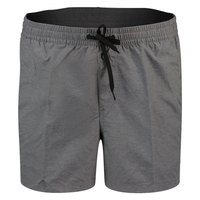 Quiksilver Everyday 15 Swimming Shorts
