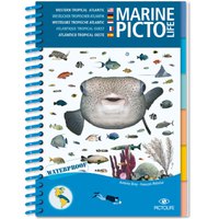 pictolife-caribean-marine