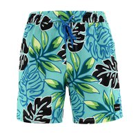 Hurley Cannonball Volley 17´´ Zwemshorts