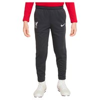 Nike Liverpool FC Dri Fit Academy Pro 22/23 Pants Junior