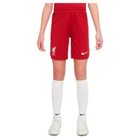 Nike Liverpool FC Dri Fit Stadium Home 22/23 Shorts Junior