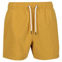 regatta-mawson-iii-swimming-shorts