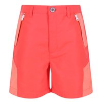 regatta-sorcer-mount-ii-shorts