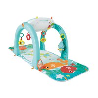 fisher-price-gym-ocean-4-in-1