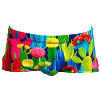 Funky trunks Sidewinder Cacti High Boxer
