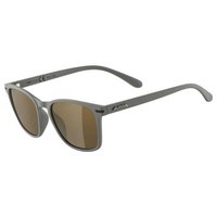 Alpina Yefe Sunglasses