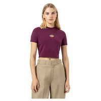 dickies-t-shirt-manche-courte-maple-valley