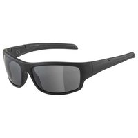 Alpina Testido Sunglasses