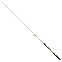 cinnetic-canne-silure-rextail-catfish-float-tube