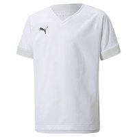Puma Teamfinal Langarm-T-Shirt