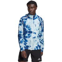 adidas-chaqueta-marathon-translucent