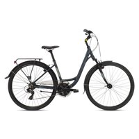 coluer-bahia-721-28-2022-rower