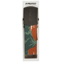 protest-prtgaribaldi-belt
