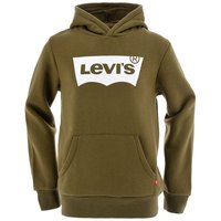 levis---batwing-screenprint-hoodie