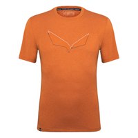salewa-pure-eagle-frame-dry-kurzarm-t-shirt