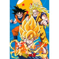 Dragon ball Poster Z 3 Gokus Evo