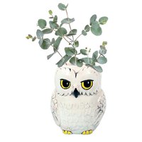 Harry potter 벽 식물 냄비 Hedwig