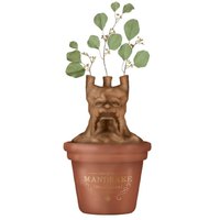 Harry potter Skrivebord Plantepotte Mandragora