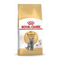 royal-canin-쇼트헤어-성인-british-4kg-고양이-음식