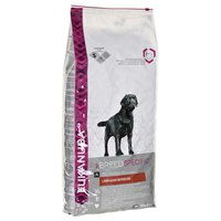 eukanuba-breeds-nutrition-labrador-retriever-erwachsene-12kg-hund-essen