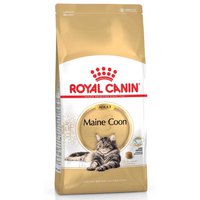 royal-canin-adulto-maine-coon-2kg-gatto-cibo