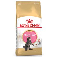 royal-canin-maine-coon-gevogelte-rijst-kitten-4kg-kat-voedsel