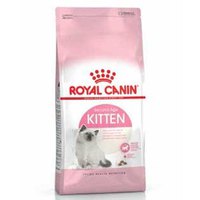 royal-canin-comida-gato-ave-joven-4kg